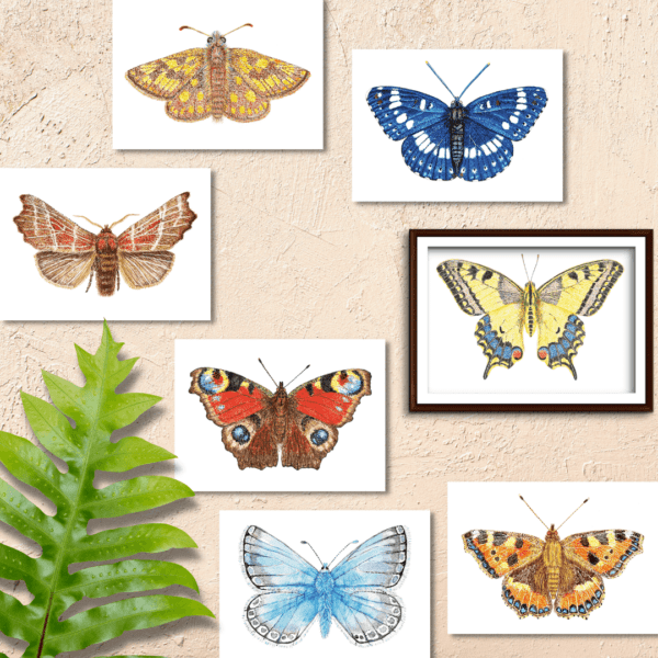 Kaartset 7 vlinders